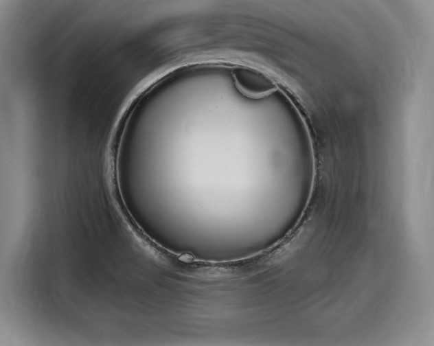 X0000116041517200911271148