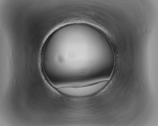 X0000116041518200911271148