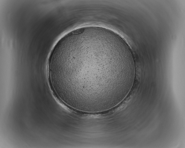 X0000116041519200911271148