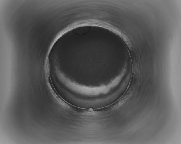 X0000116041522200911271148