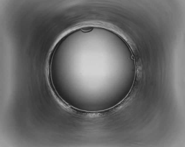 X0000116041523200911271148