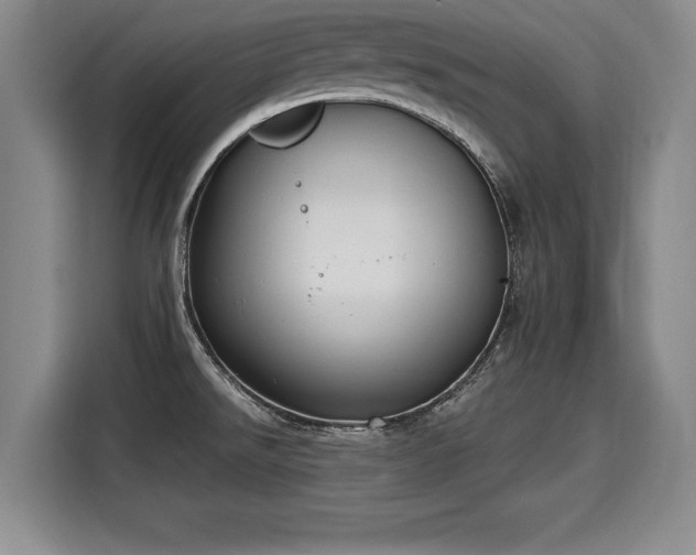 X0000116041526200911271148