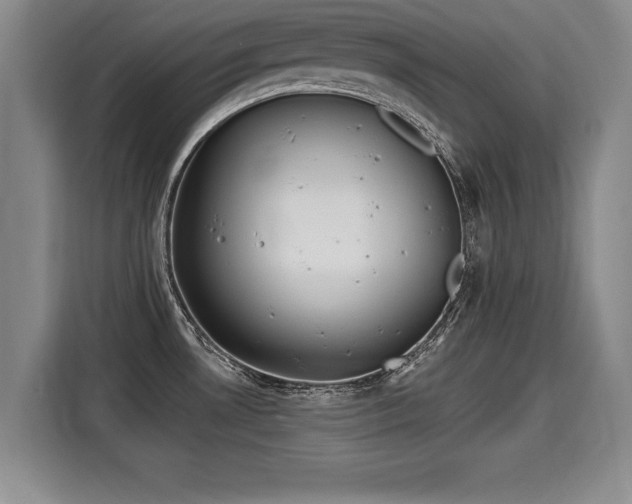 X0000116041530200911271148