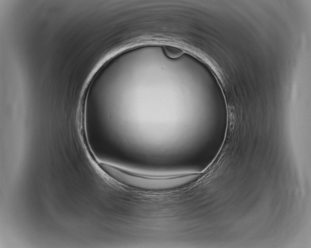 X0000116041531200911271148