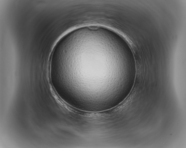 X0000116041534200911271148