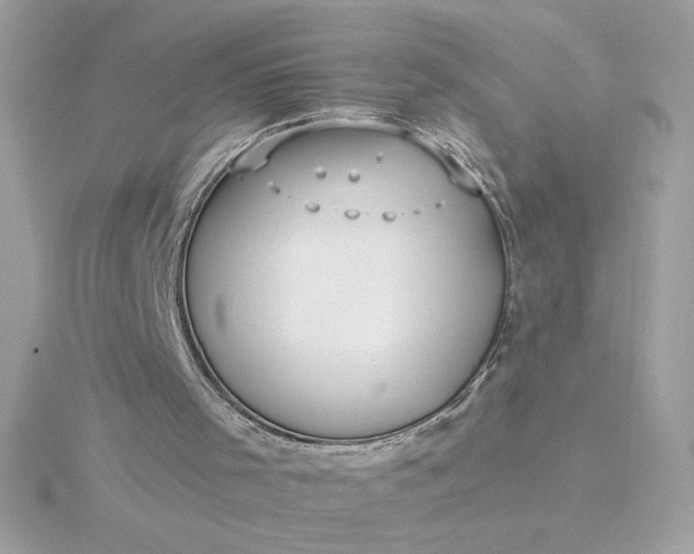 X0000116040001200912041821