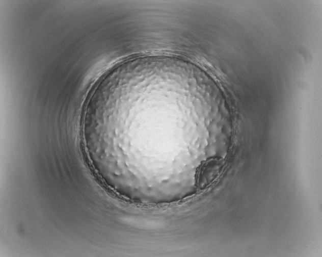 X0000116040002200912041821