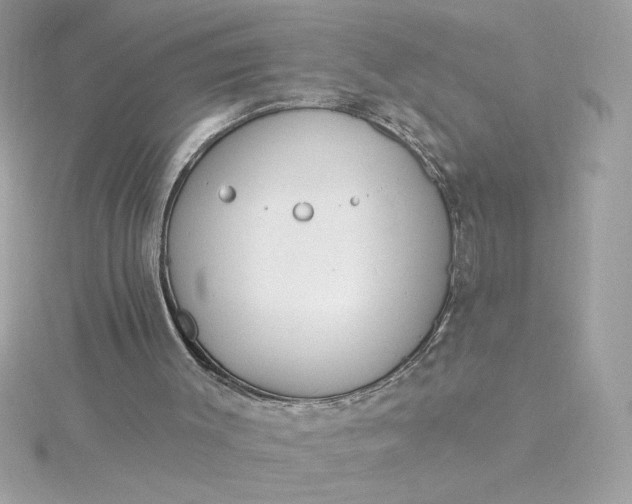 X0000116040003200912041821