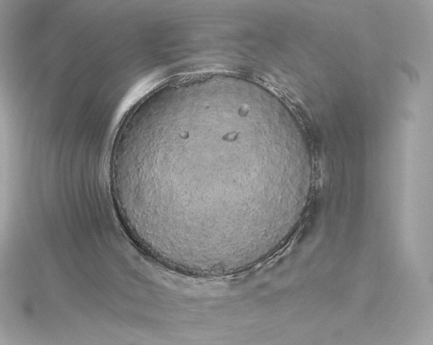 X0000116040004200912041821