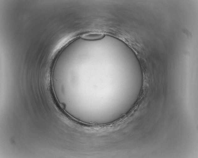 X0000116040005200912041821