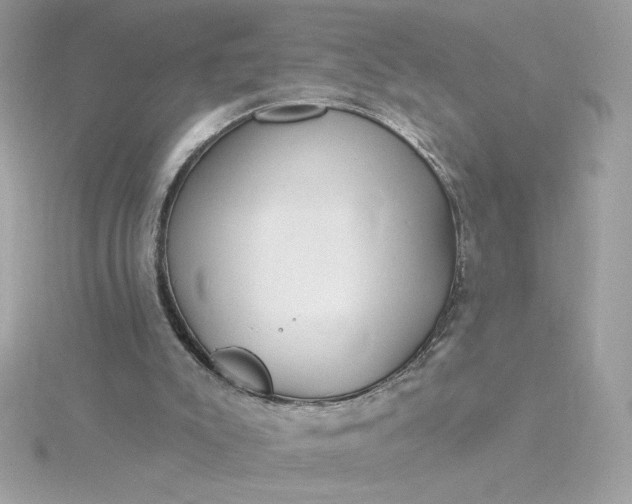 X0000116040007200912041821