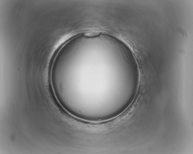 X0000116040008200912041821