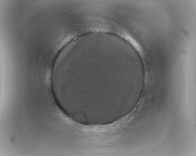 X0000116040009200912041821