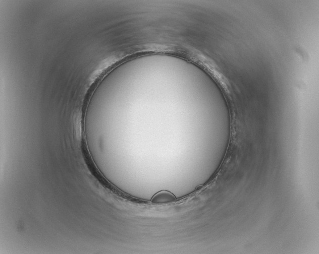 X0000116040011200912041821