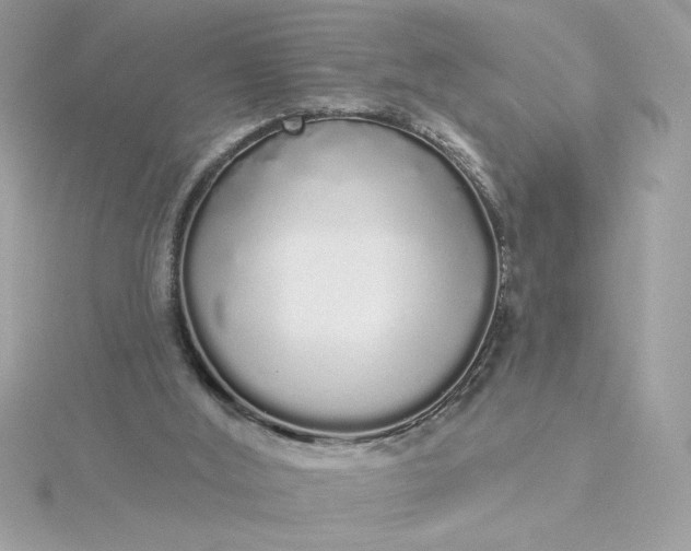 X0000116040012200912041821