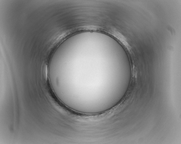 X0000116040013200912041821