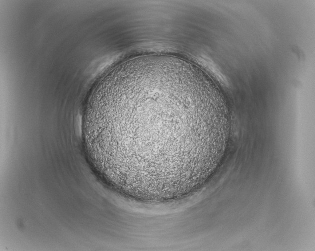 X0000116040014200912041821