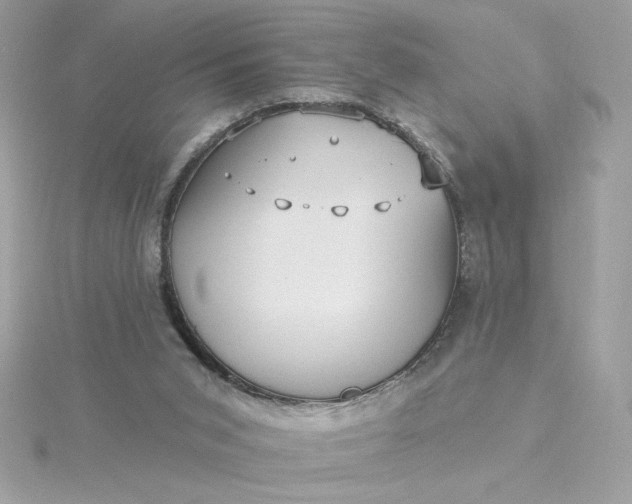 X0000116040015200912041821