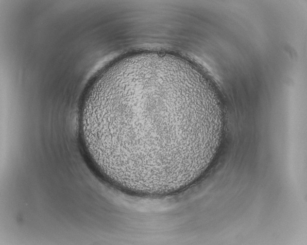 X0000116040016200912041821