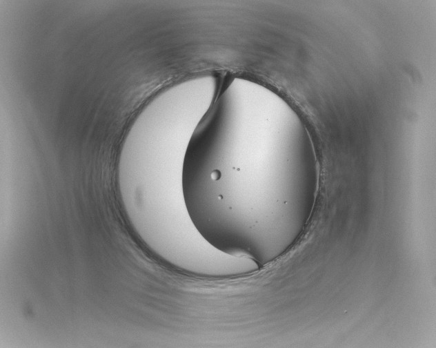 X0000116040017200912041821