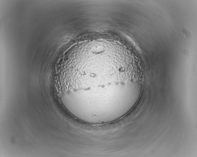 X0000116040018200912041821