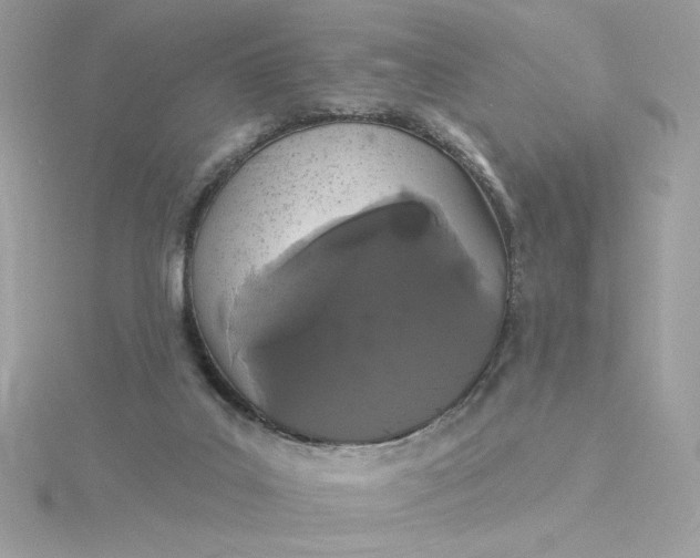 X0000116040019200912041821