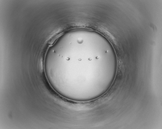 X0000116040020200912041821