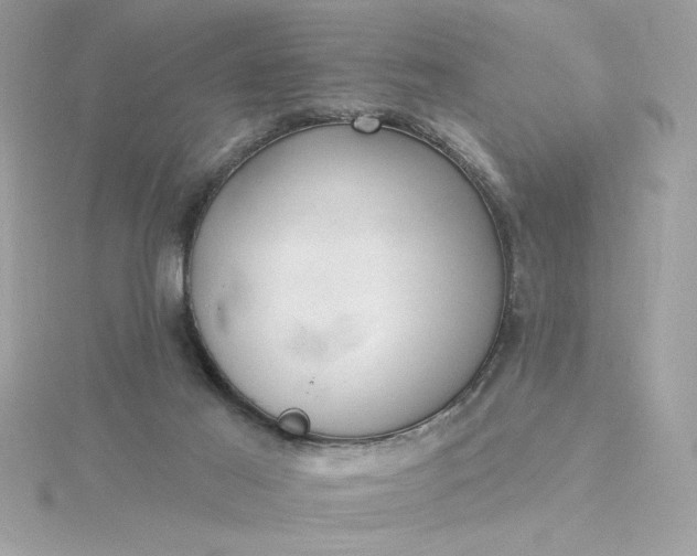 X0000116040021200912041821