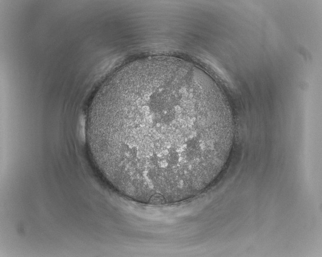 X0000116040022200912041821