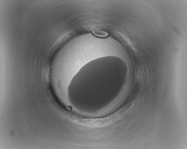 X0000116040023200912041821