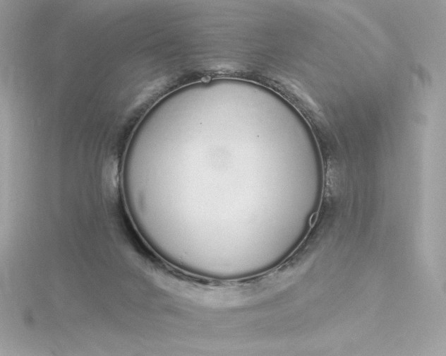 X0000116040024200912041821