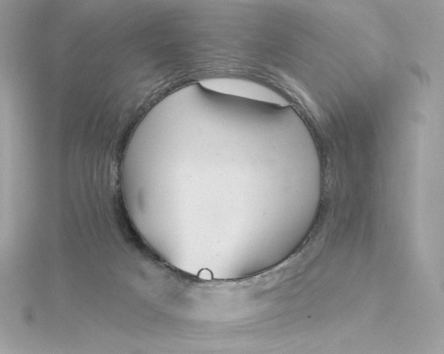 X0000116040025200912041821