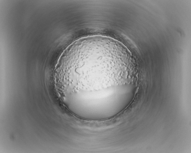 X0000116040026200912041821