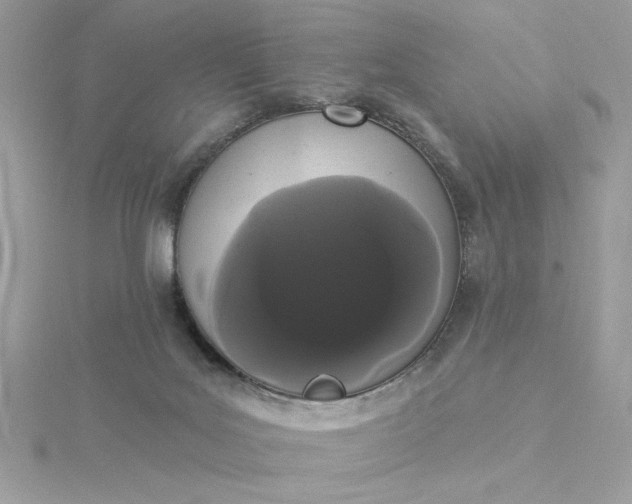 X0000116040027200912041821