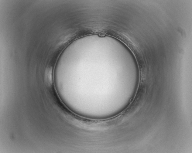 X0000116040028200912041821