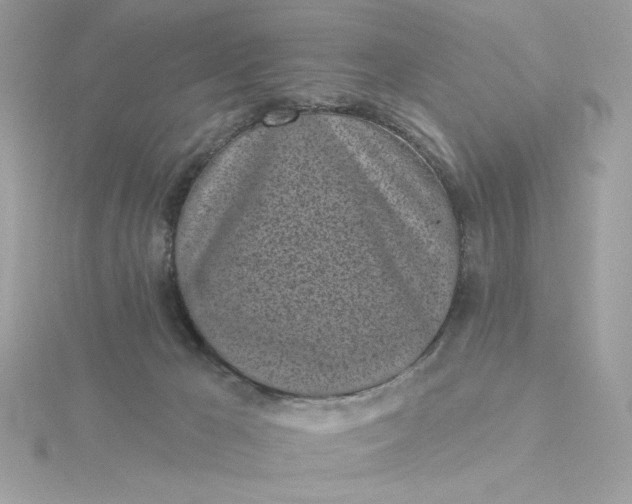 X0000116040029200912041821