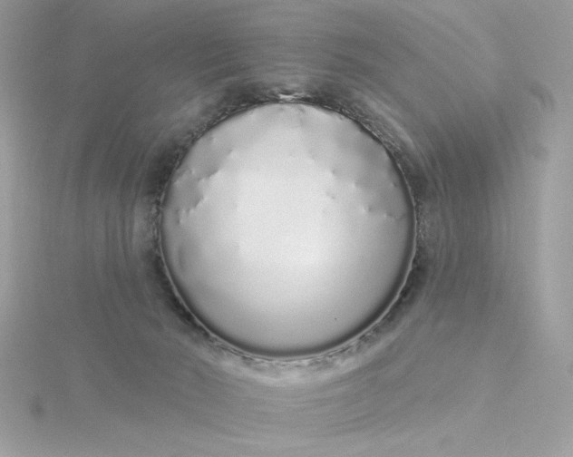 X0000116040030200912041821