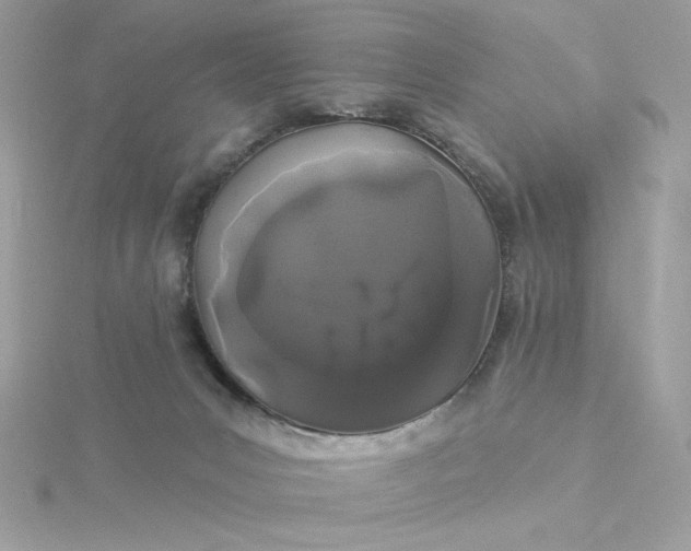 X0000116040031200912041821