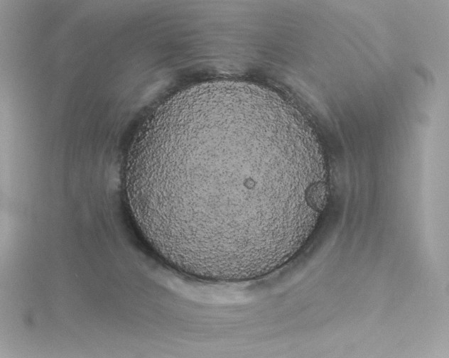 X0000116040032200912041821