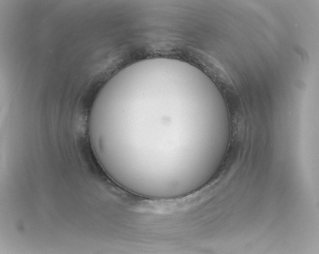 X0000116040033200912041821