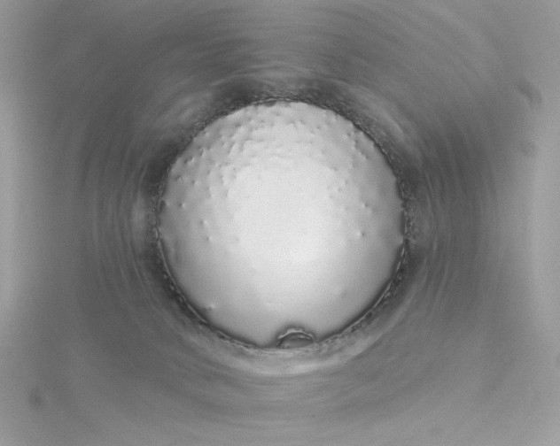 X0000116040034200912041821