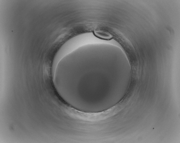 X0000116040035200912041821