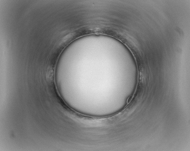 X0000116040036200912041821