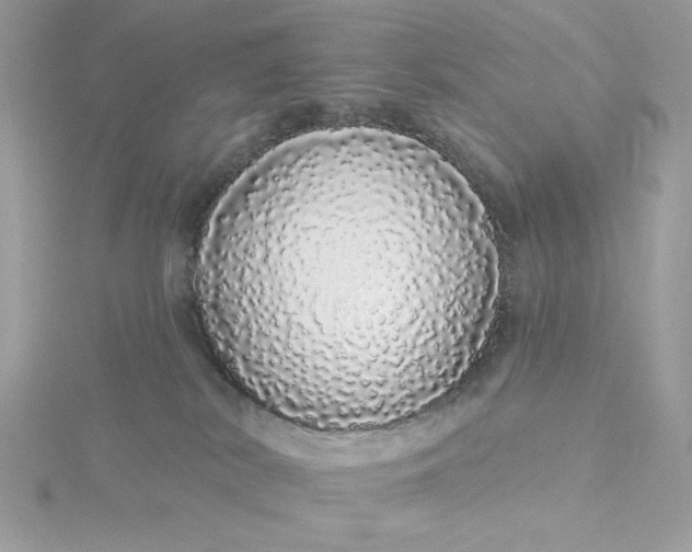 X0000116040038200912041821