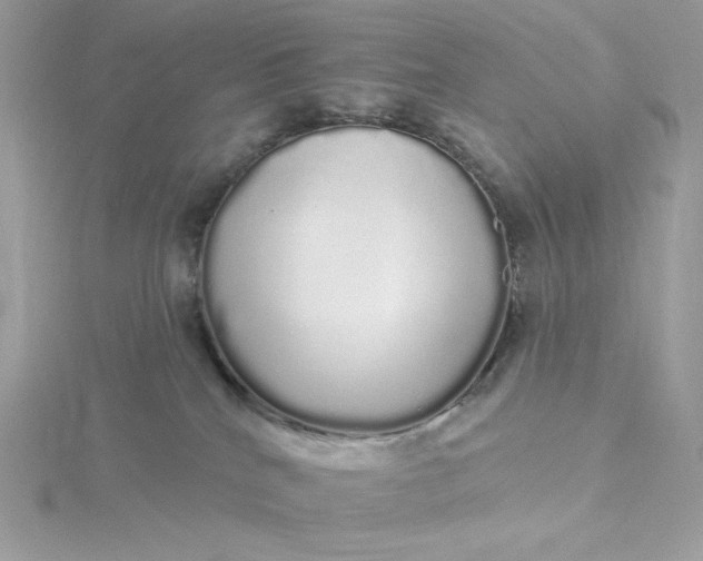 X0000116040040200912041821