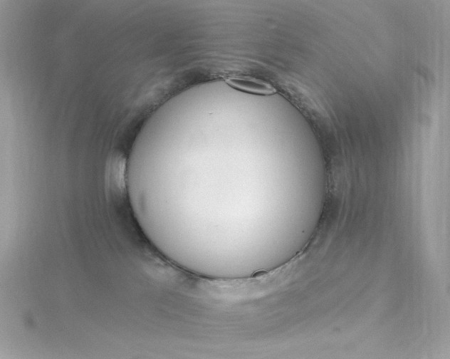 X0000116040041200912041821