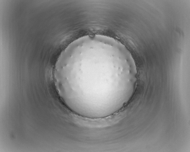 X0000116040042200912041821