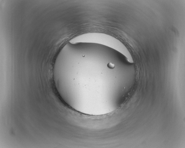 X0000116040043200912041821