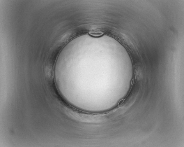 X0000116040044200912041821