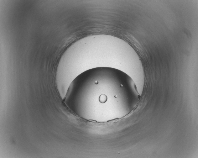 X0000116040045200912041821